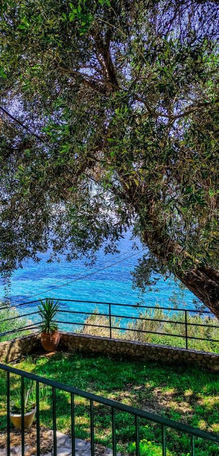 Villa Fourtuna Apartment آغيوس يوانيس بيريستريون المظهر الخارجي الصورة