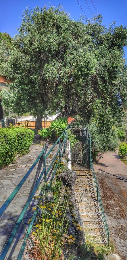 Villa Fourtuna Apartment آغيوس يوانيس بيريستريون المظهر الخارجي الصورة