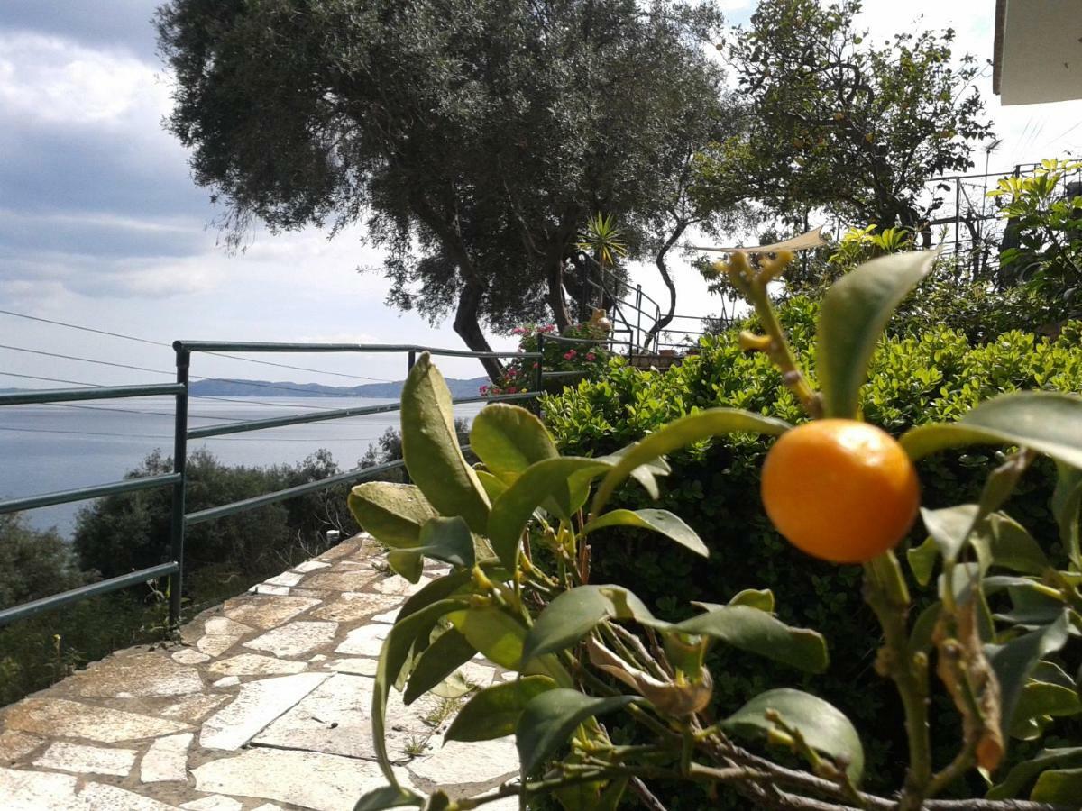 Villa Fourtuna Apartment آغيوس يوانيس بيريستريون المظهر الخارجي الصورة